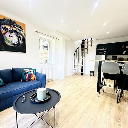 Jungle Appartement Avec Terrasse Laon Bagian luar foto